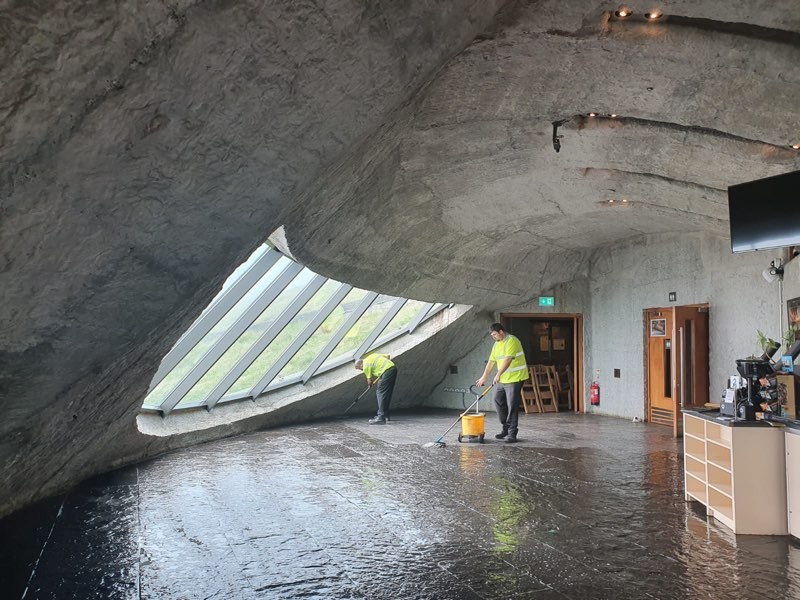 Winterage Cows & Landscapes – by Visual Artist Liz Moloney