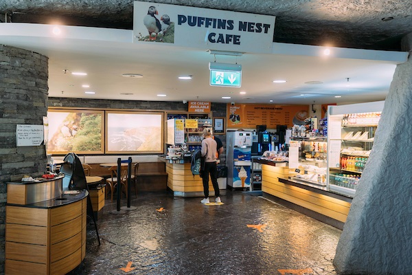 Puffins Nest at Cliffs of Moher